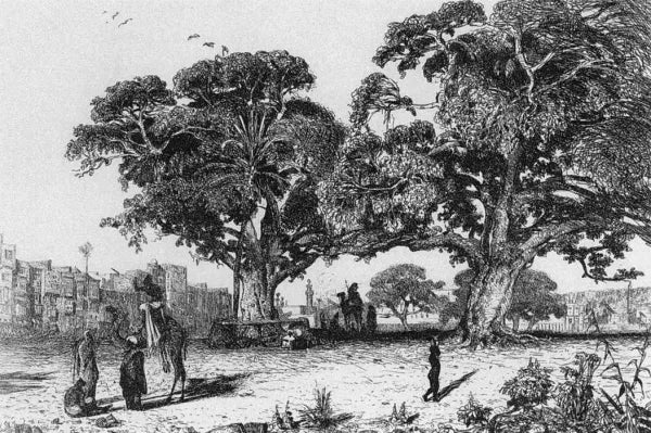 View of Ezbekiyah, Cairo