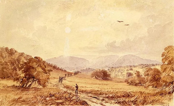 View in Texas - Miles North of San Antonio