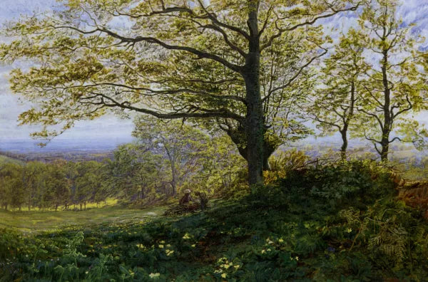Gathering Firewood