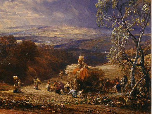 Harvesting Detail