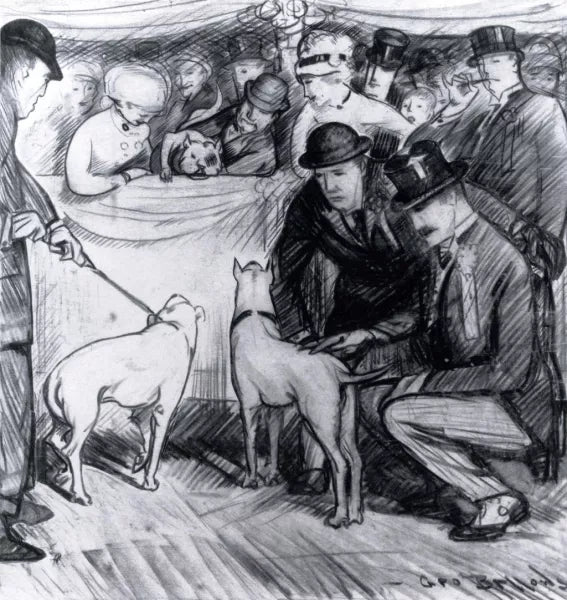 At the Dog Show