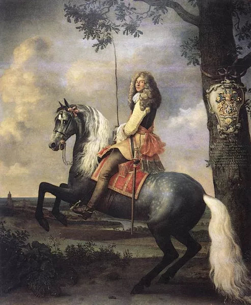 Diederik Tulp