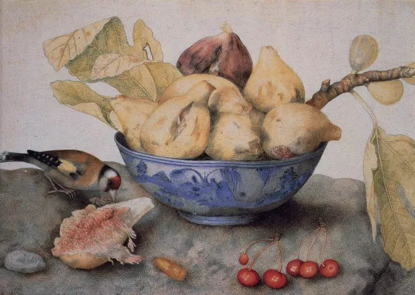 China Bowl with Figs, a Bird, and Cherries