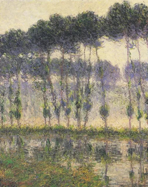 Poplars by the Eau River
