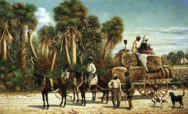 Wagonload of Cotton