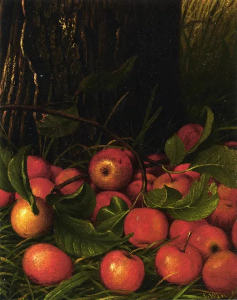 Apples Under a Tree