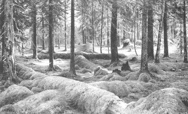 Woodland Cemetery