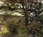 No Frame (Rolled in a Tube)