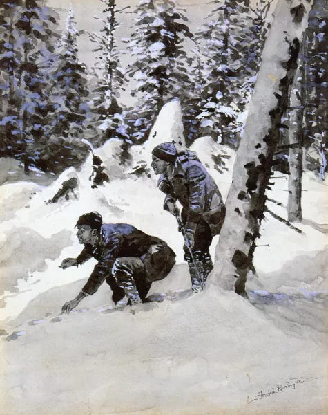 Winter Snow Scenes