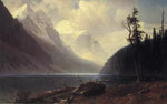 No Frame (Rolled in a Tube)