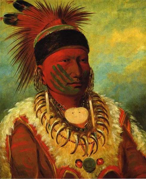 The White Cloud, Head Chief of the Iowas