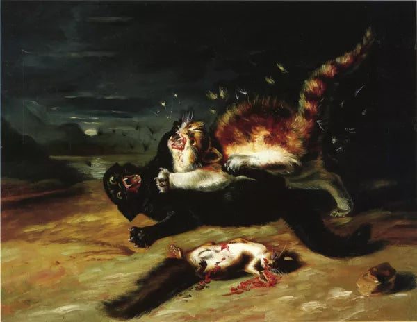 Two Cats Fighting