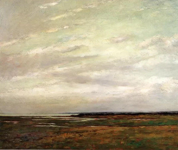 Salt Marshes of Northern New Jersey