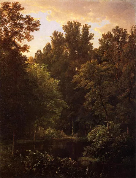 Forest Pool