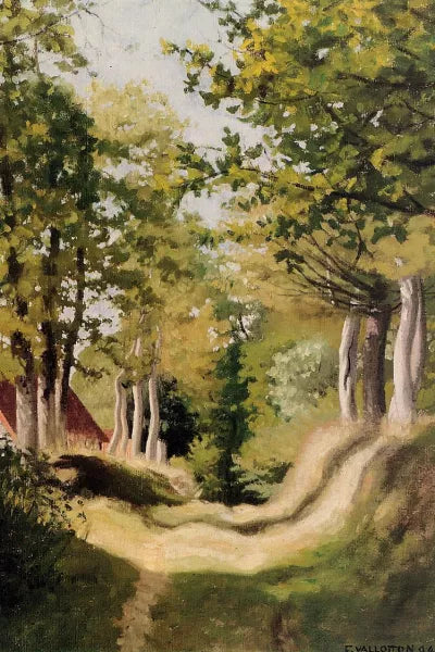 Undergrowth