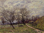 No Frame (Rolled in a Tube)