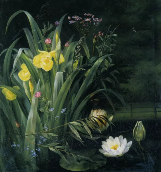 Lily Pond