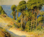 No Frame (Rolled in a Tube)