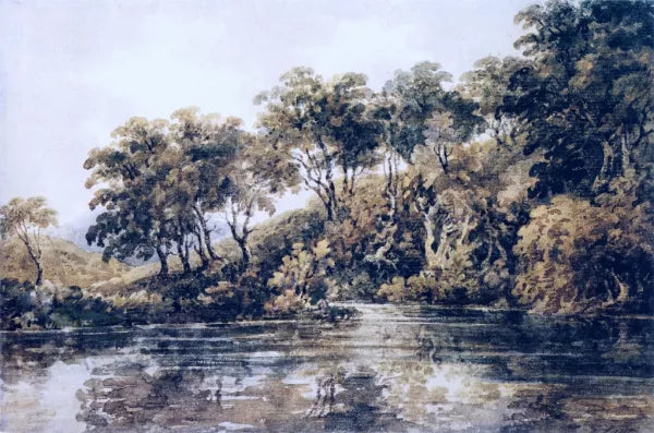 Trees and Pond Near Bromley, Kent