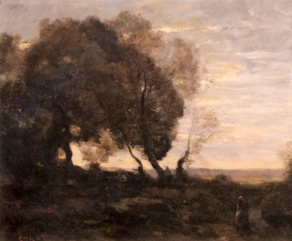 Arbres Tordus Sur Une Crete Soleil Couchant