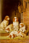 No Frame (Rolled in a Tube)