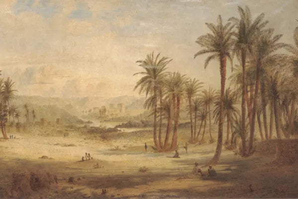 A View of Philae