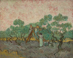 No Frame (Rolled in a Tube)