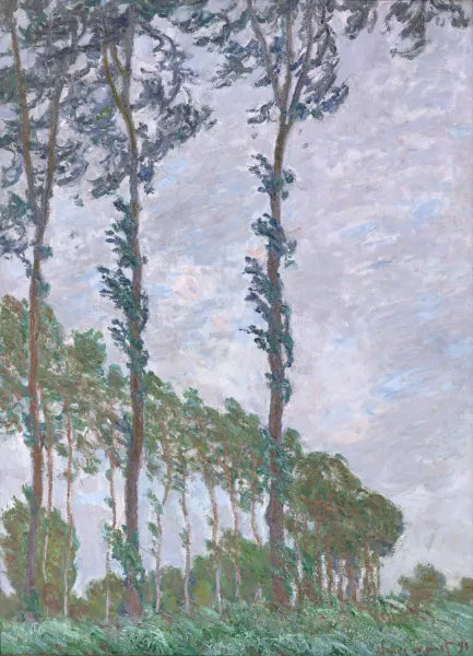 Wind Effect, Series of The Poplars